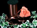 Geschenkband, Dekoband, Schleifenband Polyband Braun ohne Draht 10mm Geschenkband, Dekoband, Schleifenband Polyband Braun ohne Draht 10mm