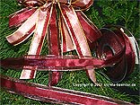 Streifenband Satin mit Organzarand Bordeaux mit Draht 25mm Streifenband Satin mit Organzarand Bordeaux mit Draht 25mm