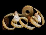 Weihnachtsband Jerusalem Creme mit Draht 25mm Weihnachtsband Jerusalem Creme mit Draht 25mm