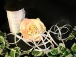 Polyband Weiß ohne Draht 5mm Polyband Weiß ohne Draht 5mm