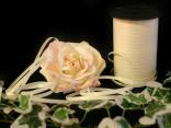 Polyband Creme ohne Draht 5mm