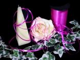 Polyband Pink ohne Draht 5mm