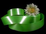 Polyband Apfelgrün ohne Draht 49mm Polyband Apfelgrün ohne Draht 49mm