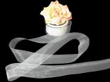 Organzaband Organza Weiß ohne Draht 40mm Organzaband Organza Weiß ohne Draht 40mm
