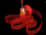 Organzaband "Organza" Rot ohne Draht 40mm