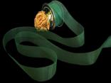 Organzaband Organza Grün ohne Draht 40mm Organzaband Organza Grün ohne Draht 40mm