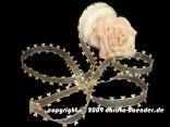 Organzaband Heart Picot Creme ohne Draht 25mm