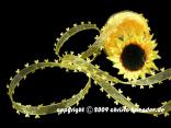 Organzaband Heart Picot Gelb ohne Draht 25mm Organzaband Heart Picot Gelb ohne Draht 25mm