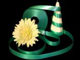 Polyband Smeraldo ohne Draht 19mm