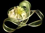 Organzaband Florband Mintgrün mit Draht 40mm Organzaband Florband Mintgrün mit Draht 40mm
