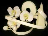 Polyband Creme ohne Draht 19mm
