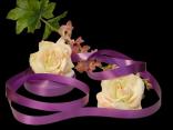 Polyband Lila ohne Draht 19mm