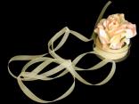 Organzabändchen "Organza" Creme ohne Draht 10mm Organzabändchen "Organza" Creme ohne Draht 10mm
