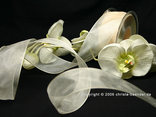 Organzaband Creme mit Draht 40mm Organzaband Creme mit Draht 40mm