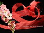Organzaband Rot mit Draht 40mm Organzaband Rot mit Draht 40mm