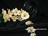 Uniband Schwarz mit Draht 15mm Uniband Schwarz mit Draht 15mm