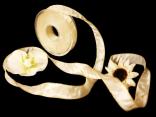 Uniband Goldkante Amerika Creme mit Draht 25mm