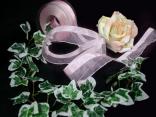 Organzaband Frühjahrsorganza Rosa ohne Draht 40mm Organzaband Frühjahrsorganza Rosa ohne Draht 40mm