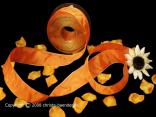 Uniband Goldkante Taipeh Melone mit Draht 40mm