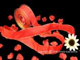 Uniband Goldkante Taipeh Rot mit Draht 40mm