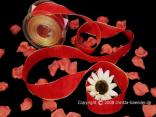 Uniband Goldkante Taipeh Karminrot mit Draht 40mm Uniband Goldkante Taipeh Karminrot mit Draht 40mm