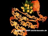 Blumenband Mona Lisa Orange ohne Draht 45mm