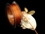 Satinbändchen Goldkante Orange ohne Draht 3mm