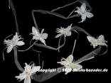 Blumengirlande Daisy Weiß ohne Draht 75mm