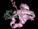 Streifenband Trilogie Rosa mit Draht 40mm
