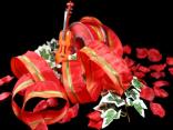 Streifenband Trilogie Rot mit Draht 40mm Streifenband Trilogie Rot mit Draht 40mm