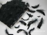 Federn lose Schwarz 15g