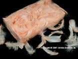 Federn lose, Lachs 15 g
