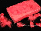 Federn lose, Rot 15 g