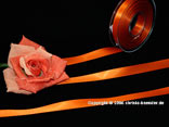Satinband Orange ohne Draht 15 mm Satinband Orange ohne Draht 15 mm