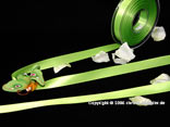 Satinband Hellgrün ohne Draht 15 mm Satinband Hellgrün ohne Draht 15 mm