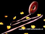 Karobändchen Bordeaux ohne Draht 10mm Karobändchen Bordeaux ohne Draht 10mm