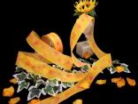 Blumenband Schmetterlingsblume Orange mit Draht 40mm Blumenband Schmetterlingsblume Orange mit Draht 40mm
