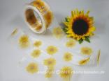 Motivband Sonnenblume Weiß mit Draht 40mm Motivband Sonnenblume Weiß mit Draht 40mm