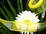 Fensterblume Hellgrün mit Draht 40mm Fensterblume Hellgrün mit Draht 40mm