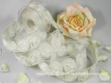 Organzaband Magic Rose Creme mit Draht 40mm