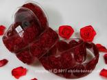 Organzaband Magic Rose Bordeaux mit Draht 40mm