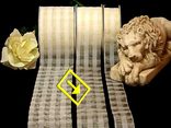 Karoband Organza-Karo Weiß/Weiß ohne Draht 50mm Karoband Organza-Karo Weiß/Weiß ohne Draht 50mm
