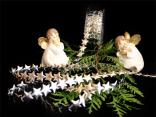 Weihnachtsband "Sternchengirlande" Silber ohne Draht 20mm
