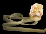 Organzaband "Organza" Creme ohne Draht 25mm