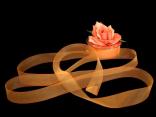 Organzaband "Organza" Orange ohne Draht 25mm