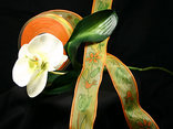 "Fantasy" mit Draht, Gelb/Orange "Fantasy" mit Draht, Gelb/Orange