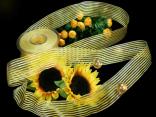 "Yellow Lines" 40mm