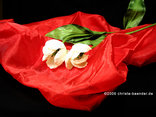 "Organza Stoff" Rot 145cm