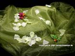 "Organza Stoff" Olive 145cm