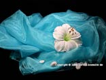 "Organza Stoff" Türkis 145cm